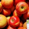 bio-apfel-schmackhafte-knackige-i-detailansicht